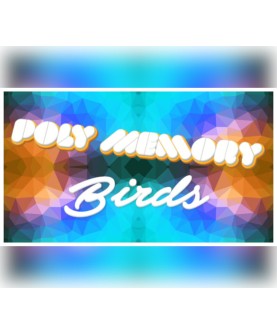 Poly Memory: Birds Steam Key GLOBAL